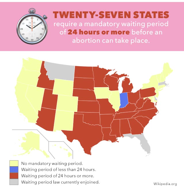 Abortion Infographic