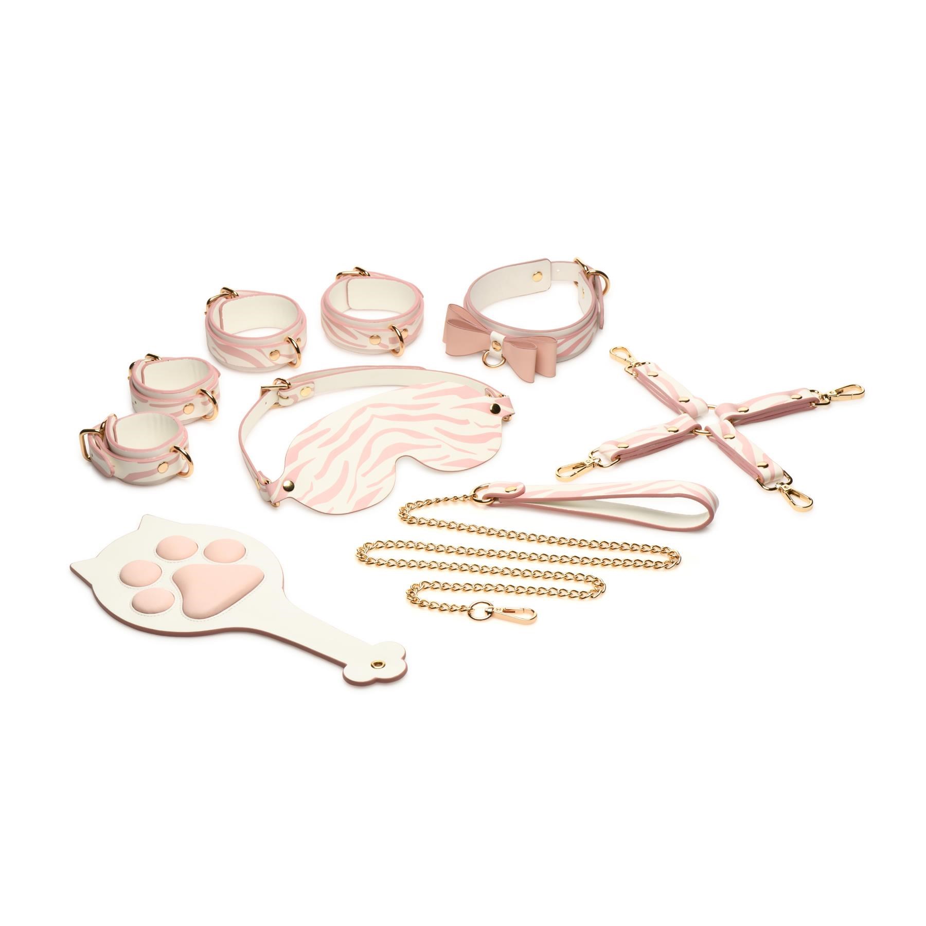 Master Series Pink Kitty Bondage Set - All Components