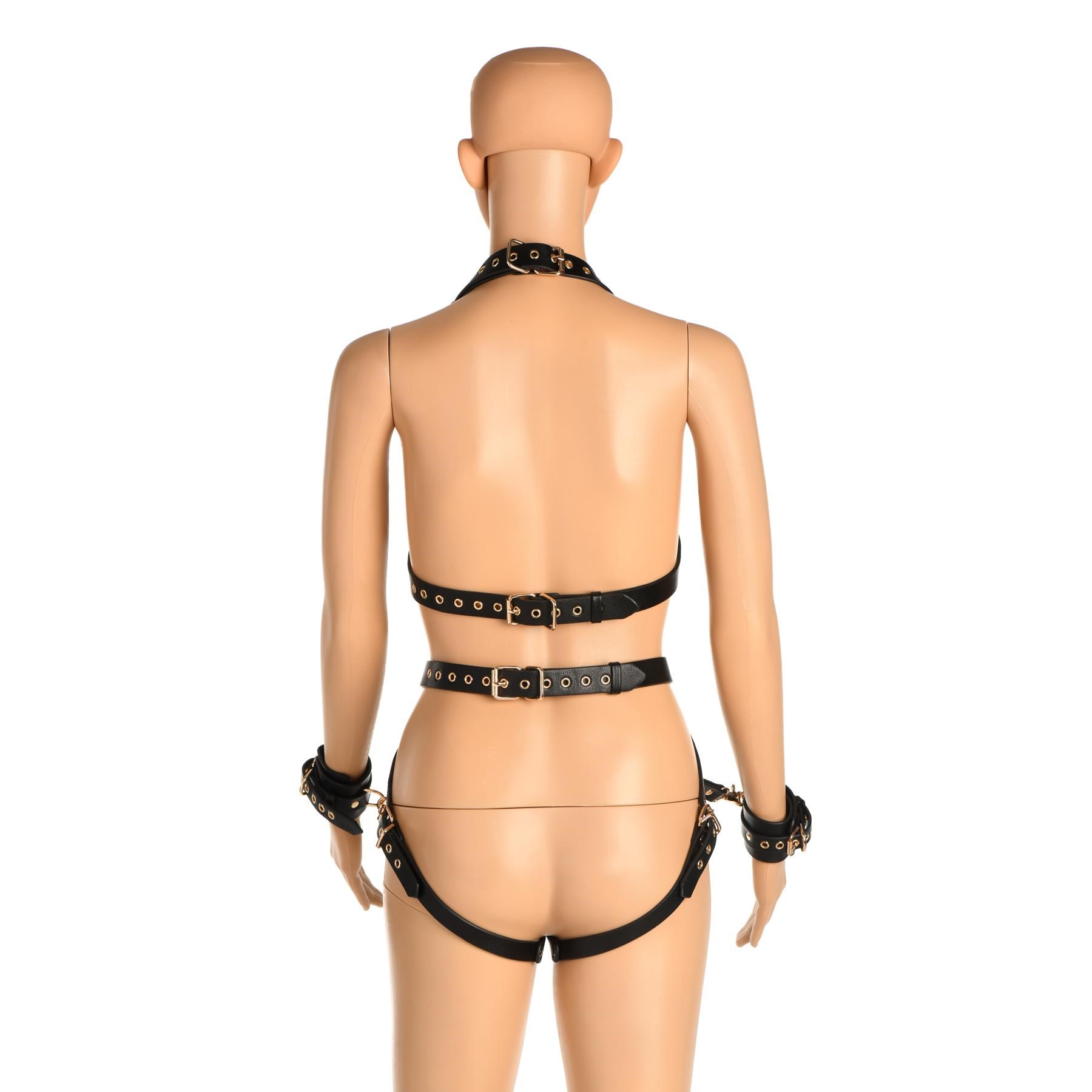 Master Series Harness With Restraints - Product on Mannequin - Back