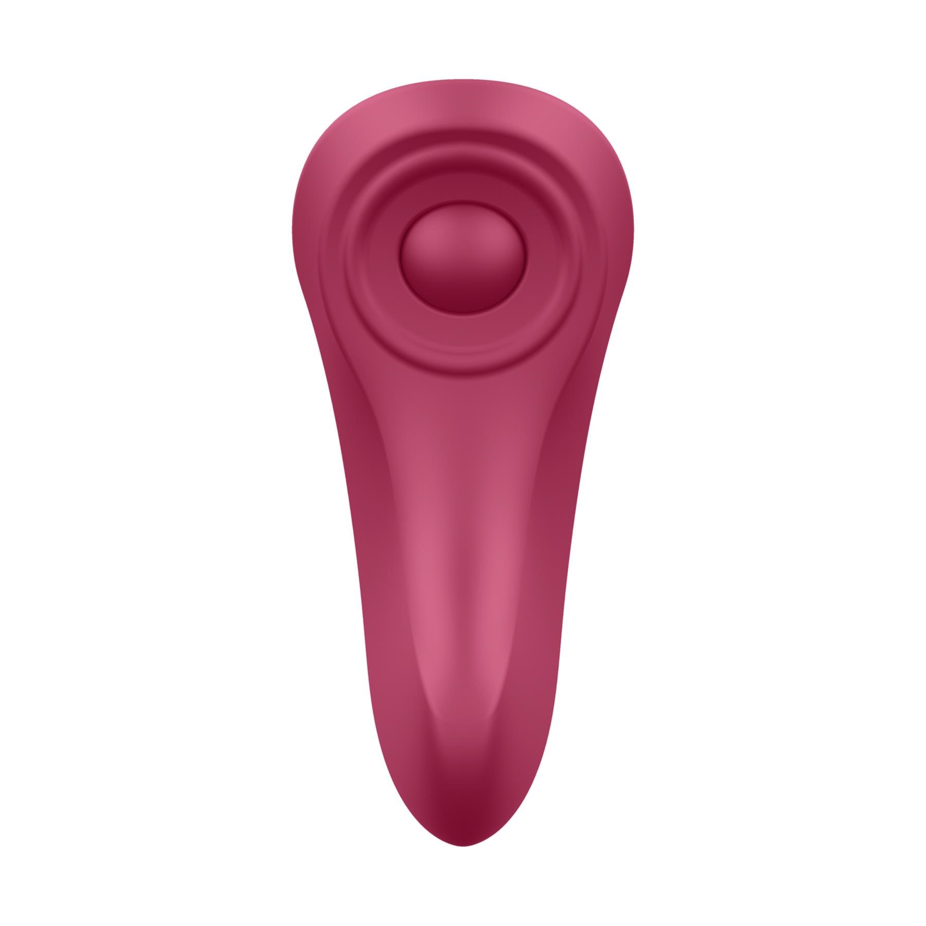 Satisfyer Sexy Secret Panty Vibrator Back View