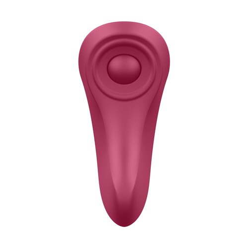 Satisfyer Sexy Secret Panty Vibrator Back View